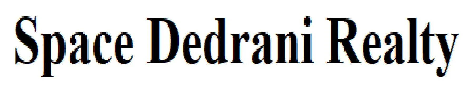 Space Dedrani Realty logo